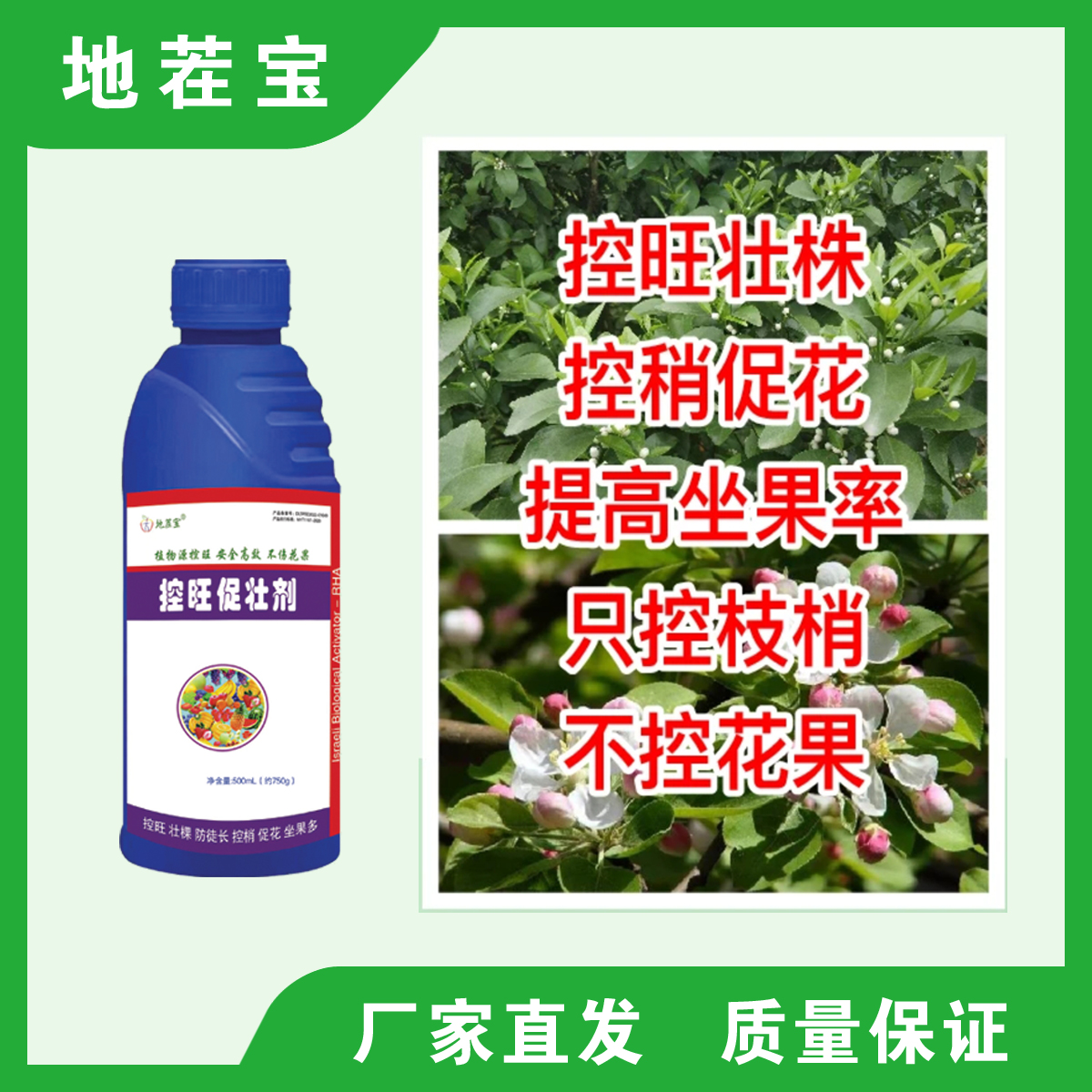 控旺促壮素只控枝梢不控花果膨果着色提高坐果率水溶肥料