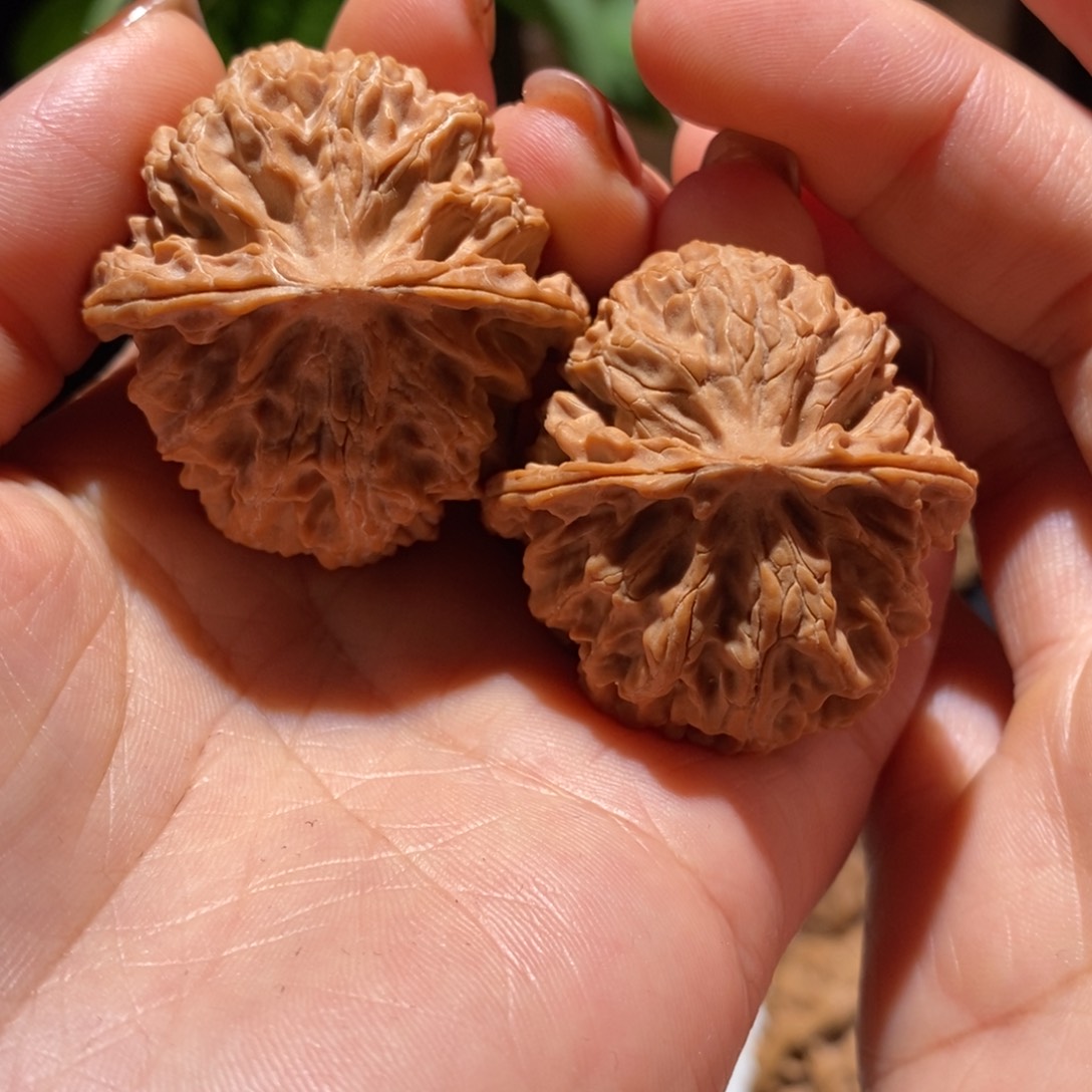 文玩核桃把件小*苹果39