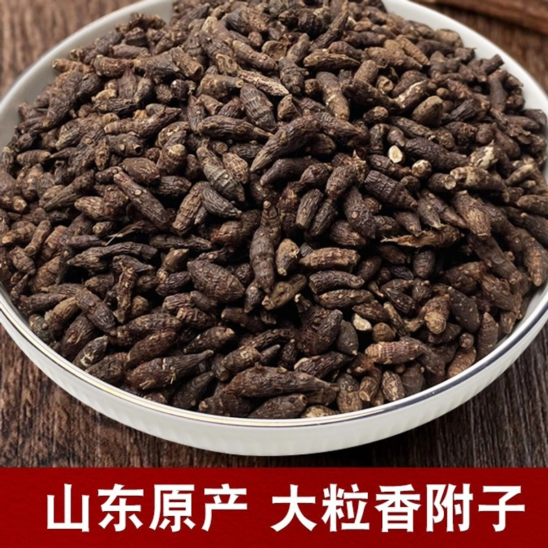 香附子 净重250克 饱满精选货自然原产 可搭配香附木香佩兰香包