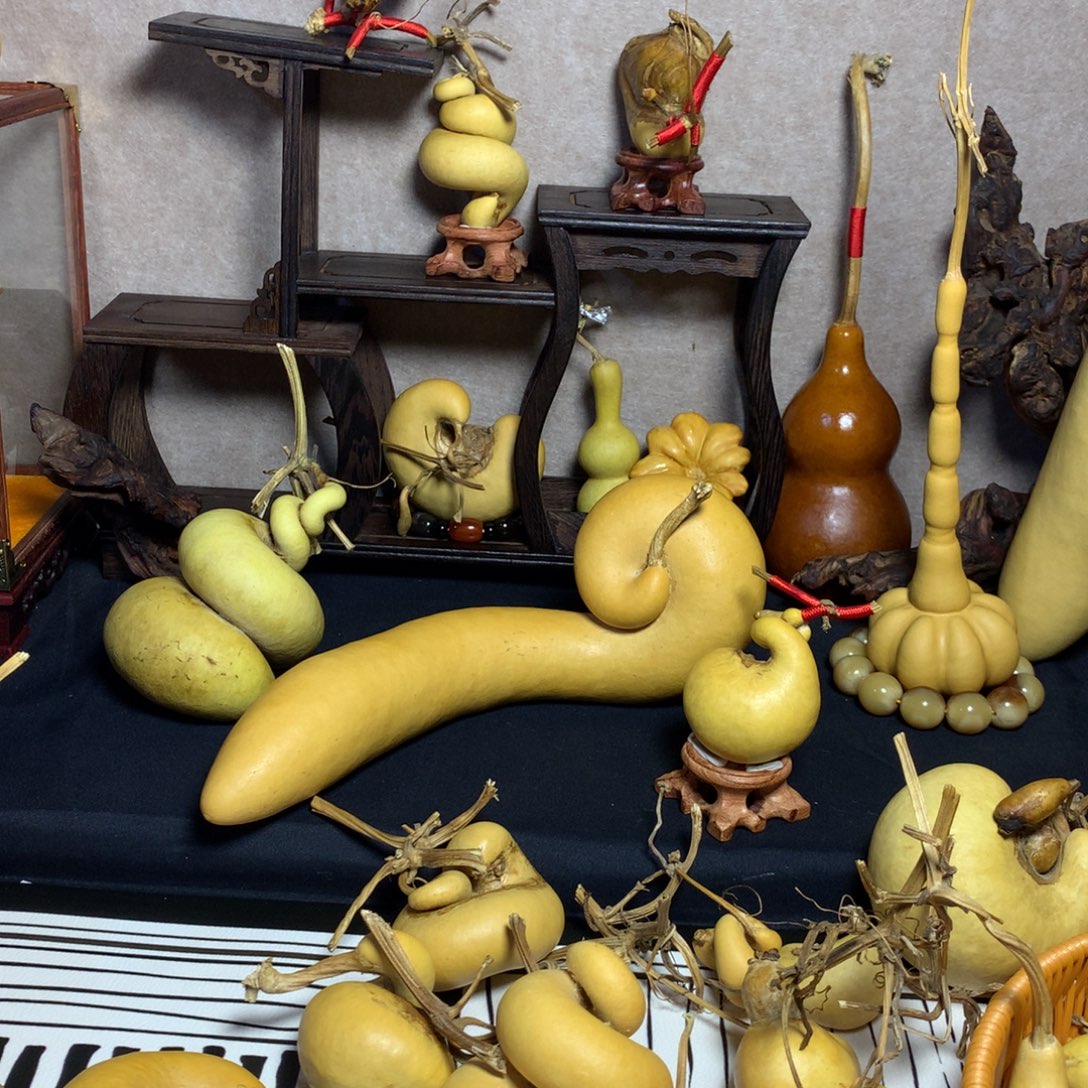 用***5葫芦葫芦真的好可爱啊