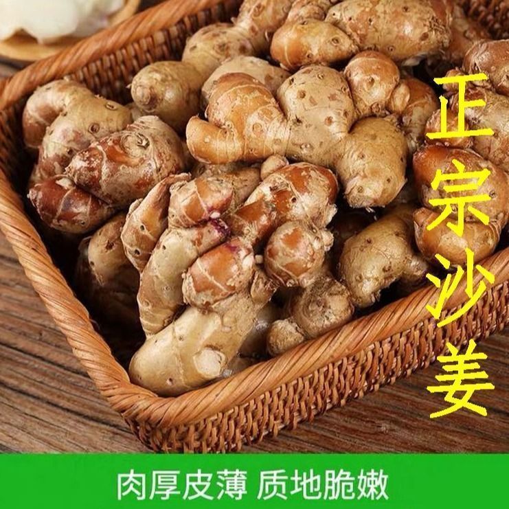 沙姜新鲜包邮沙姜现挖0.5-5斤包邮老姜山奈白切鸡椰子鸡香料调味