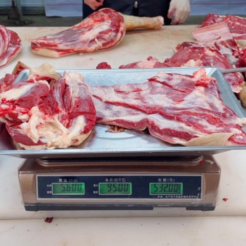 【闪购商品】冷冻保存30天包装河北省余*