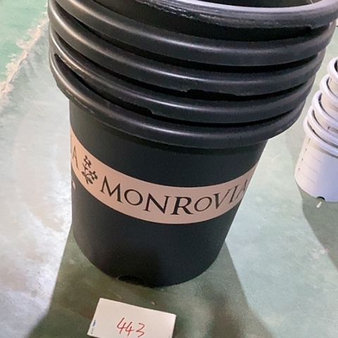 树脂编号443缺口