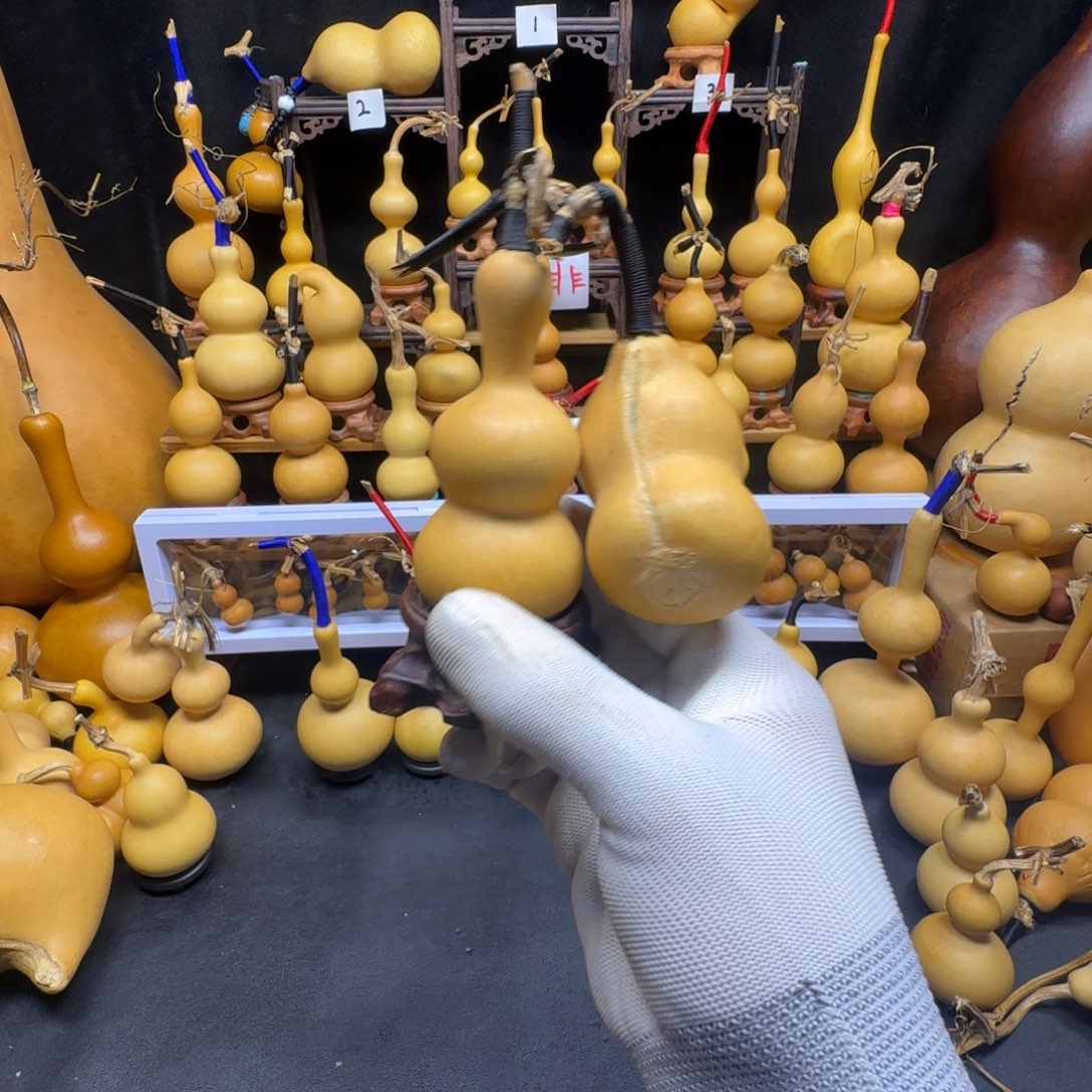 h***d哈哈哈哈哈哈哈姐姐