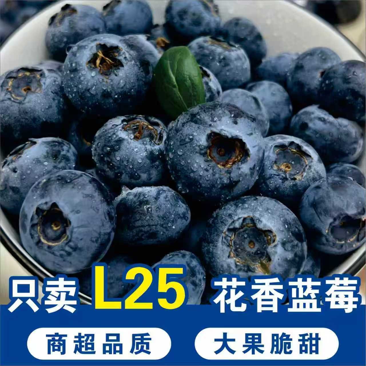 【顺丰空运】云南l25花香蓝莓新鲜采摘脆甜多汁孕妇宝宝水果500克装