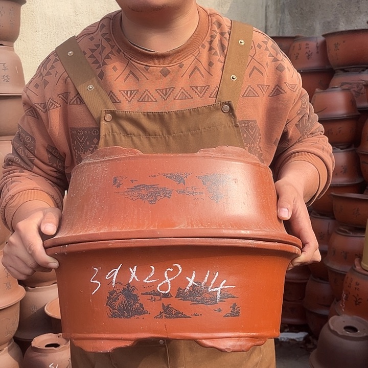 紫砂紫砂花盆盆栽