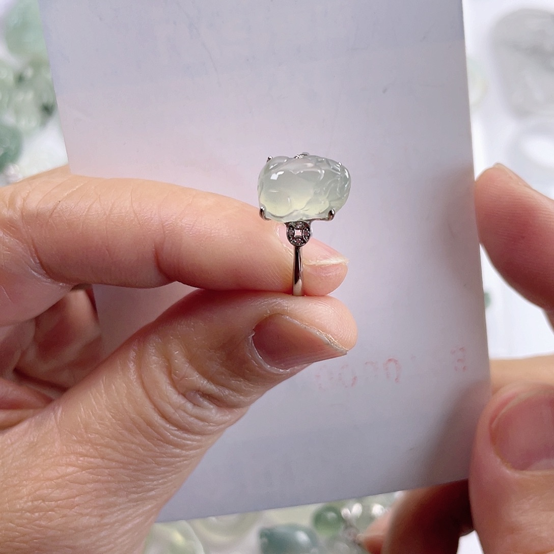 翡翠颈饰未镶嵌貔貅戒指