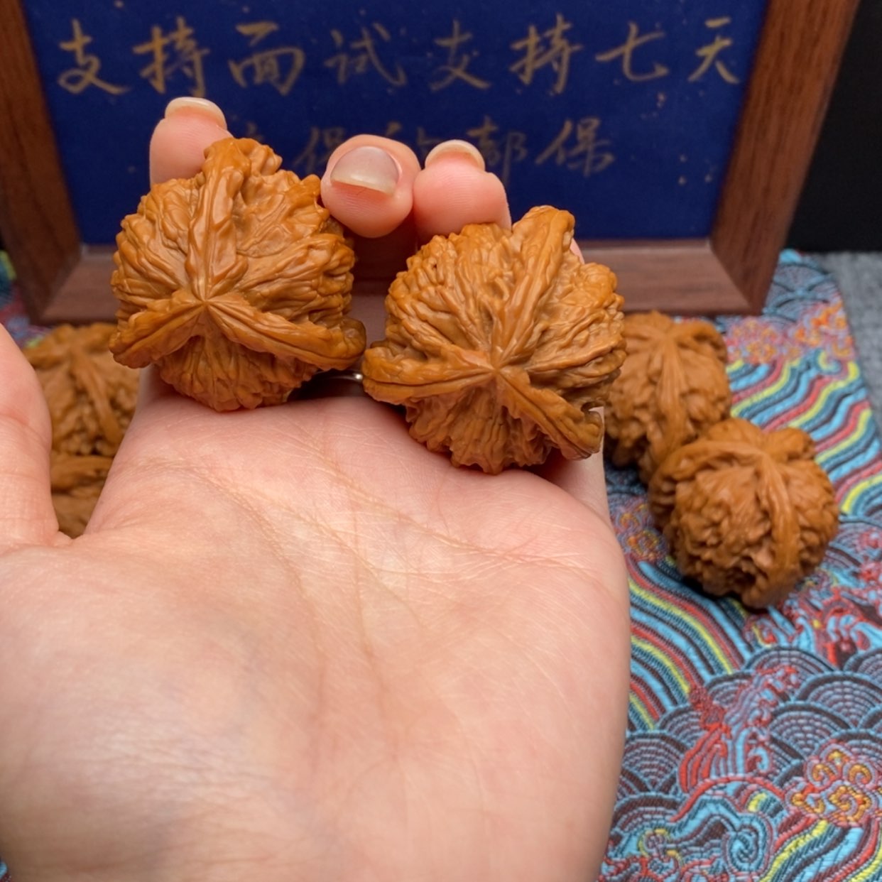 【闪购商品】阿**?白狮