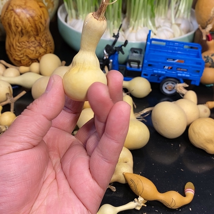 K***?精品葫芦手把葫芦112