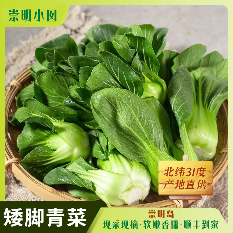 赠品【1斤小青菜】崇明岛现摘霜打太湖菜矮青菜软糯香甜黑青菜