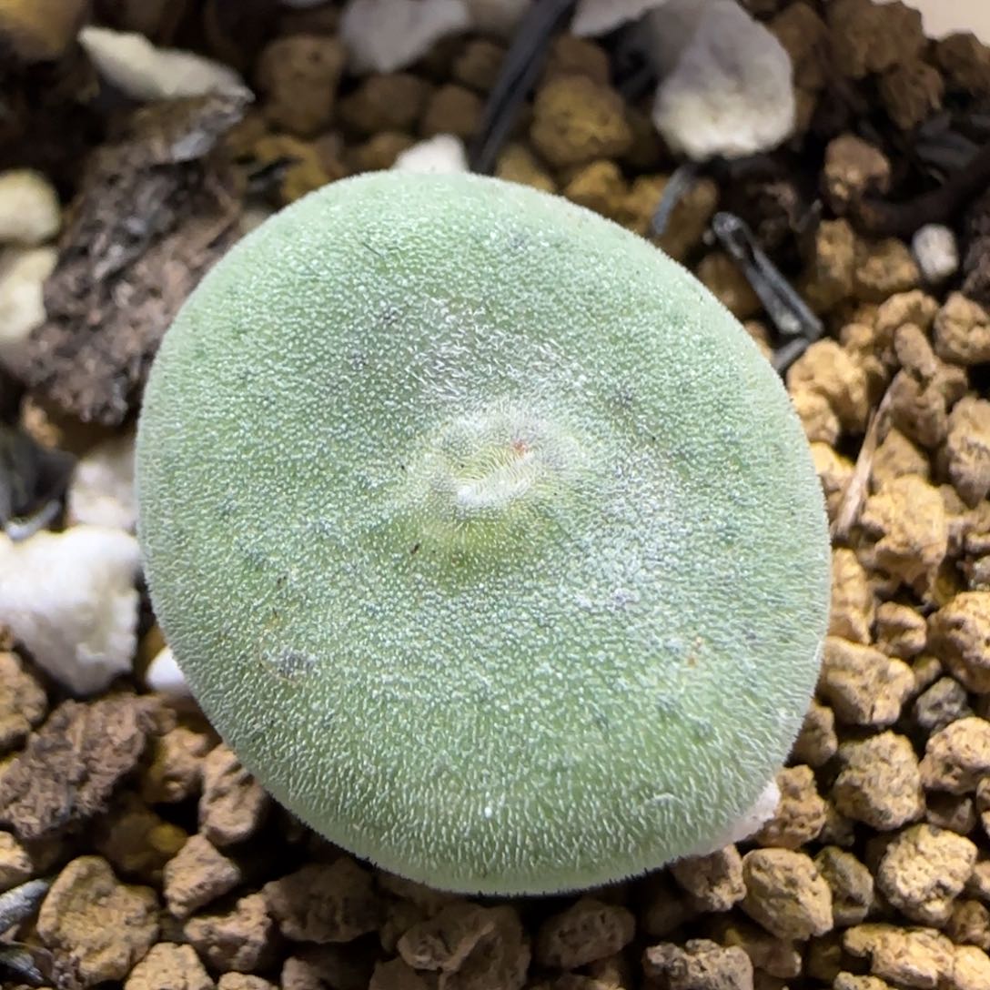 1.22，毛饼，9004，