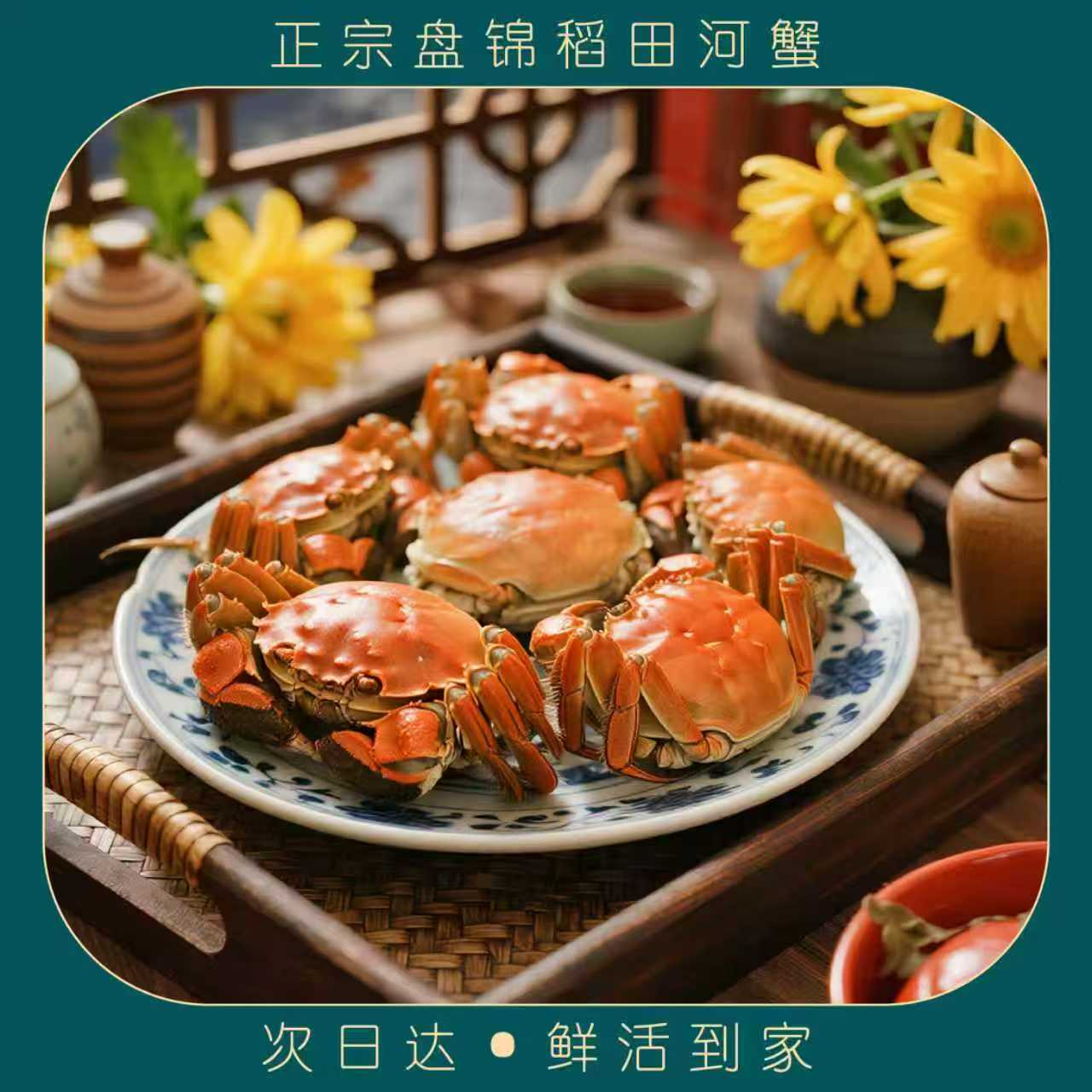 活蟹无品牌盘锦河蟹盘锦稻田螃蟹海鲜全母蟹规格2斤装1.3-1.6两10只上下