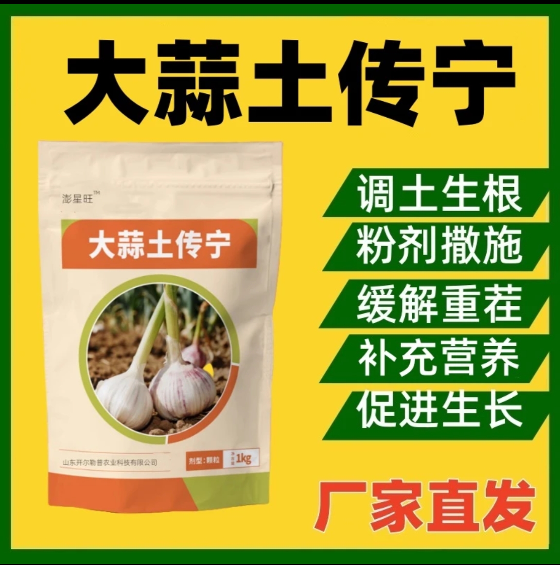 大蒜土传宁大蒜种植因生根壮苗艾调理土壤提质氏增产中量元素肥