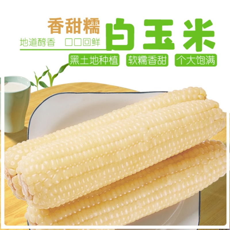 【试吃2根】2025年新鲜采摘东北糯玉米香甜软糯