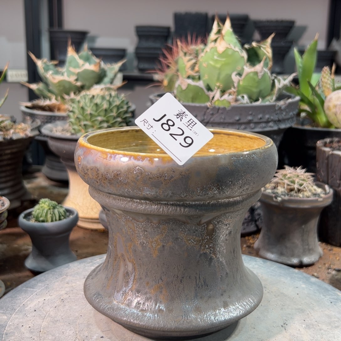 景德镇手工素里口13高13.5