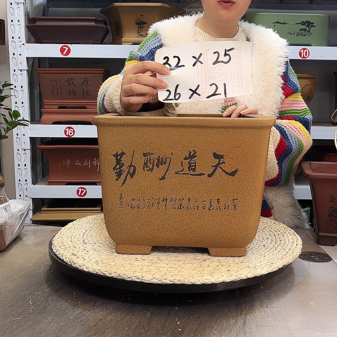 紫砂花盆紫砂花盆