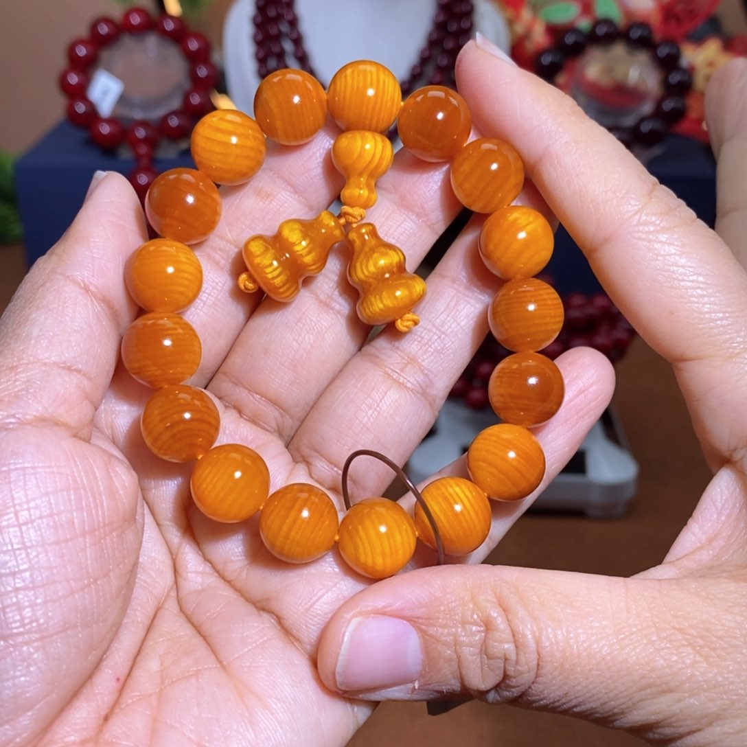 贝壳杉帝王血龙木1.2全透