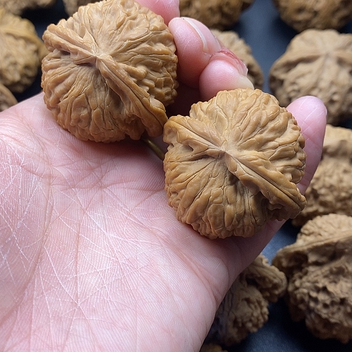 龙脊菩提吊坠白师子41