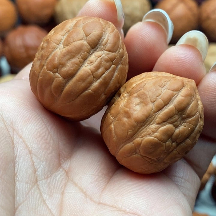 核桃精品文玩核桃手捻龟甲文