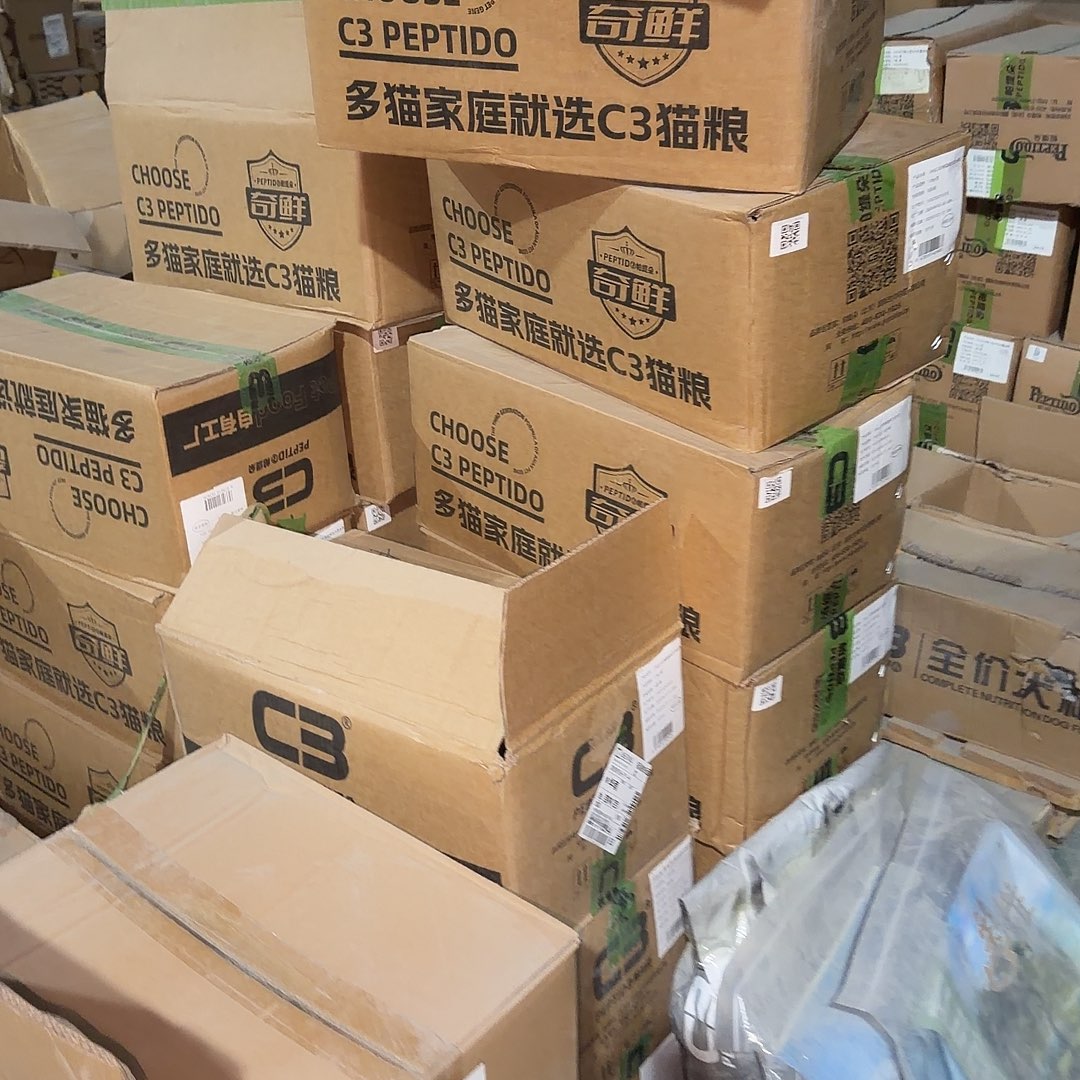 霸弗7.2公斤幼猫11