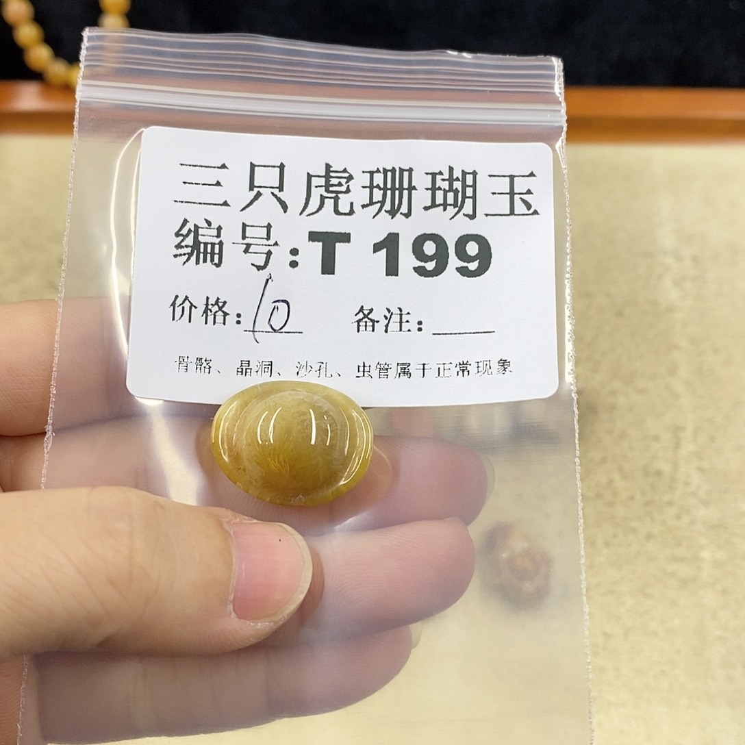硅化珊瑚（珊瑚玉）1未镶嵌初**蛰