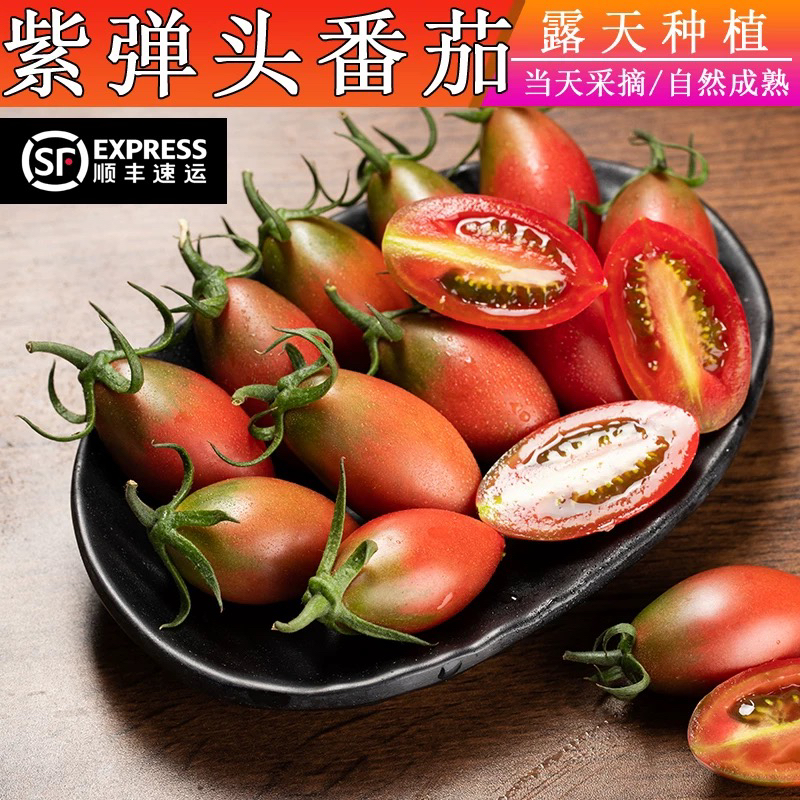顺丰包邮紫弹头迷彩小番茄新鲜圣女果新鲜水果番茄露天种植西红柿