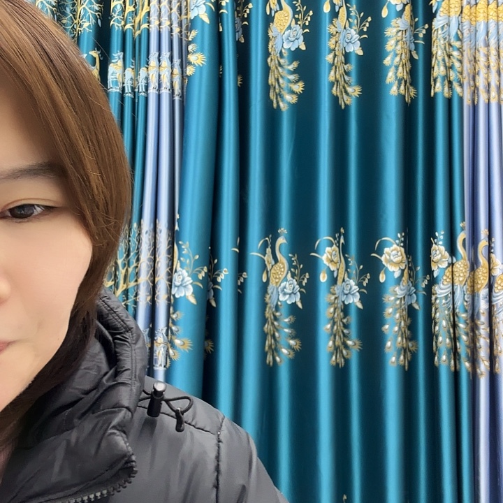 纱孔雀墨绿2.6米单片打孔款高2.7米