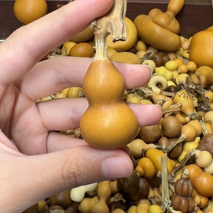 葫芦葫芦葫芦不包邮