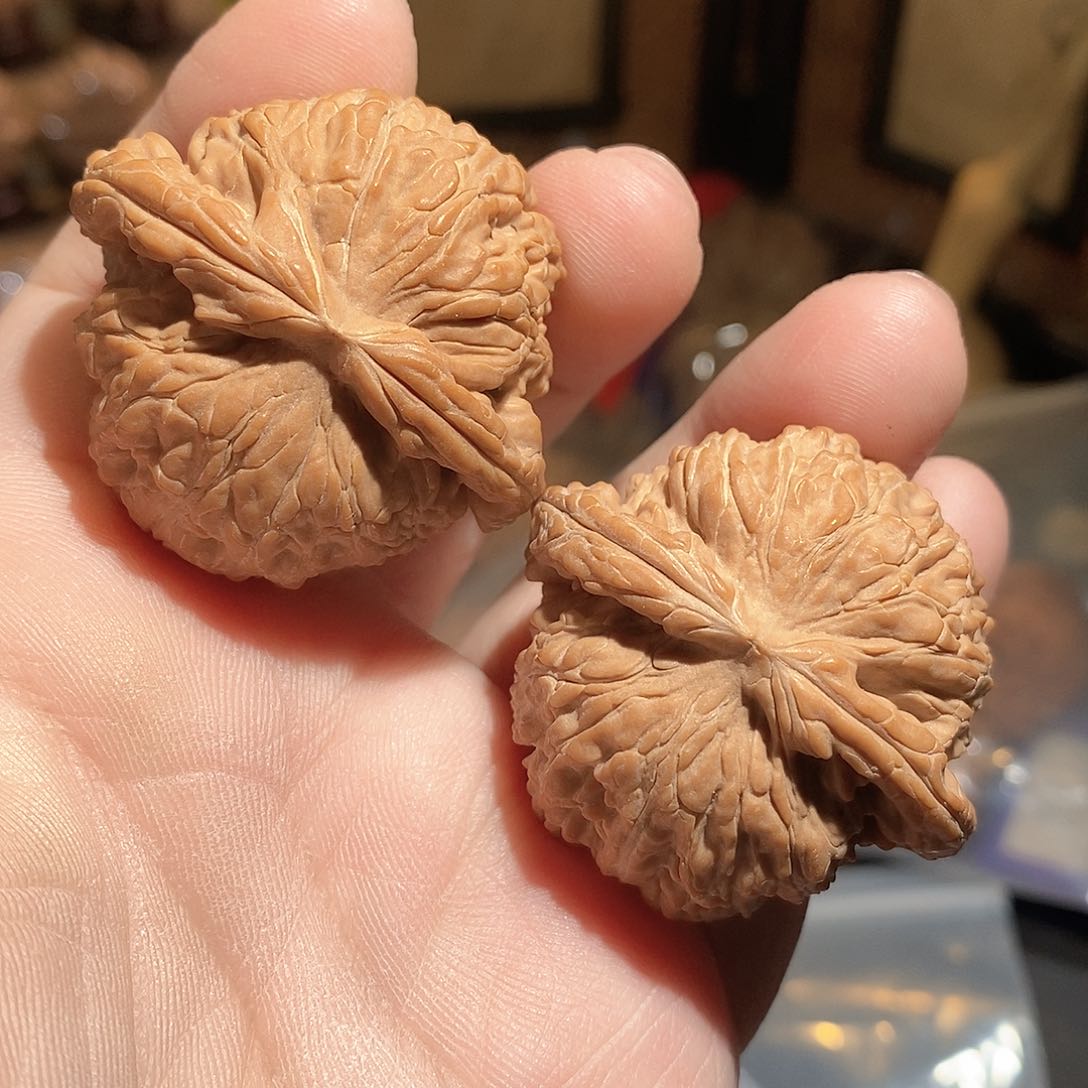 文玩核桃把件44白狮子全品