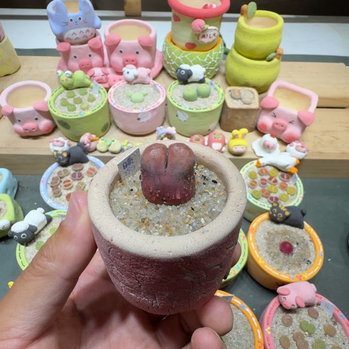 蘑菇300风铃日系
