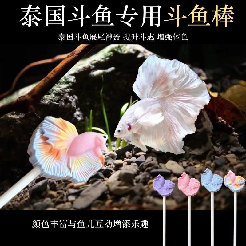 新款斗鱼棒泰国斗鱼逗鱼棒训练笔互动神器2025原创设计仿真斗鱼笔