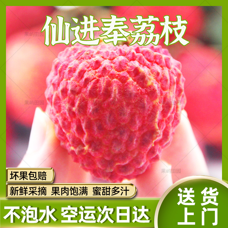 【顺丰次日达】现摘仙进奉荔枝王后广东增城发货新鲜不泡水应季水果整箱1/3/5斤包邮荔枝同城送