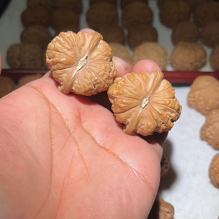 木41全品南瓜嗯。     