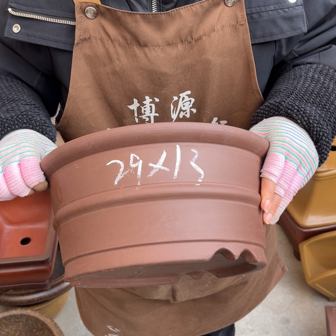 花盆紫砂盆景艺术
