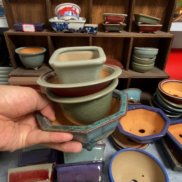 ＋***/鹿鸣堂四个特价组合