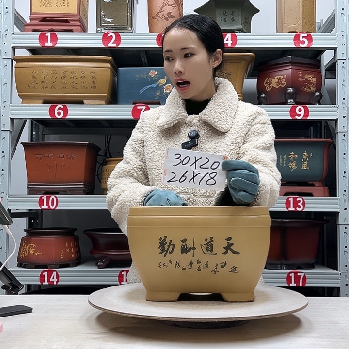 紫砂花盆紫砂花盆