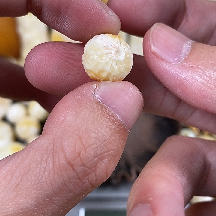 琥珀裸石未镶嵌我