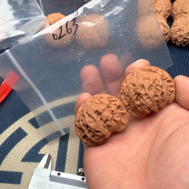 文玩核桃吊坠41宫灯263