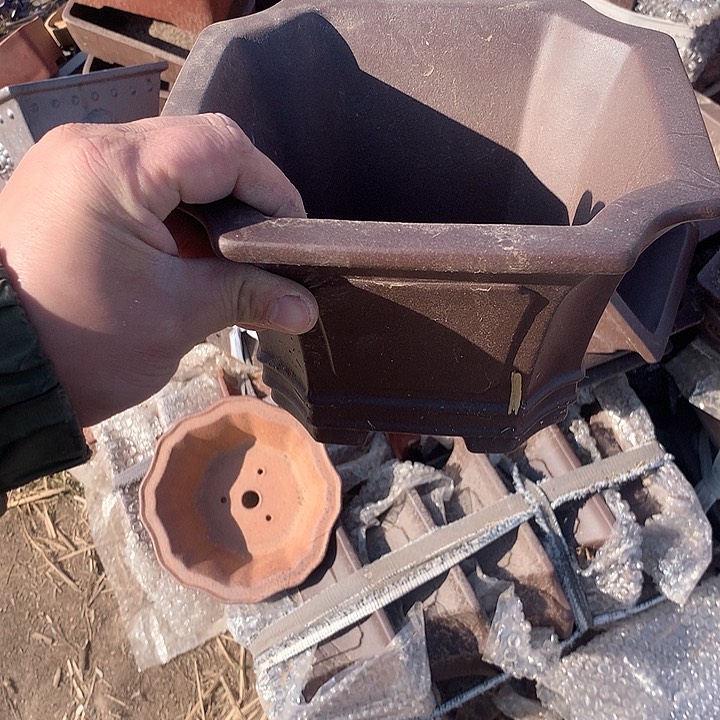 紫砂我要努力去实现了