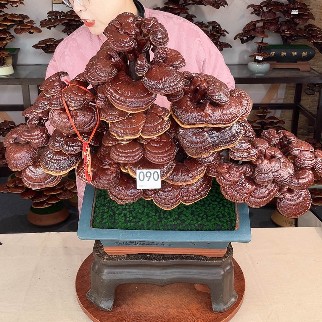 万事如意888888090