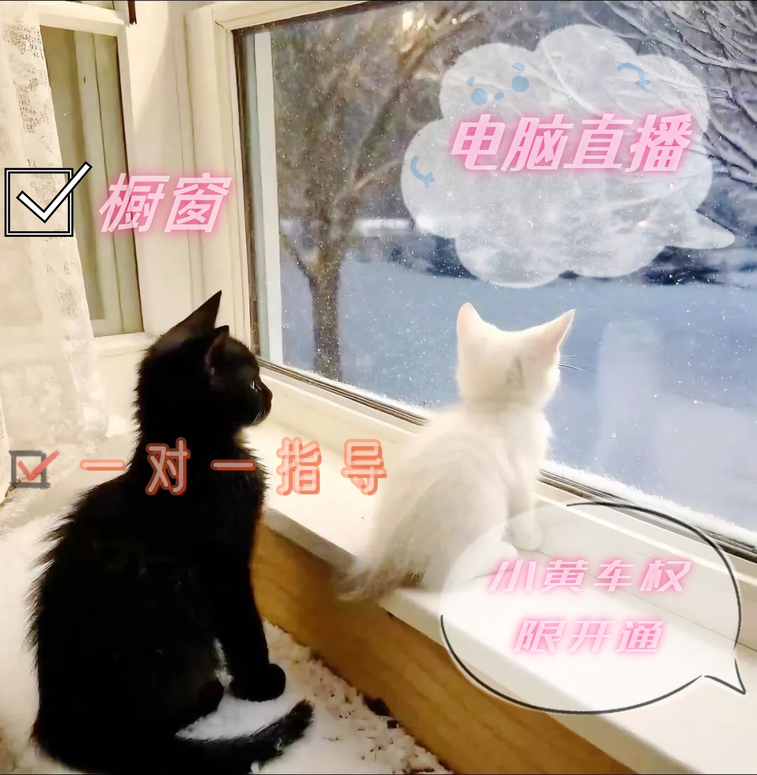 抖小黄车直播200有效电脑直播权限达到门槛开通电商运营