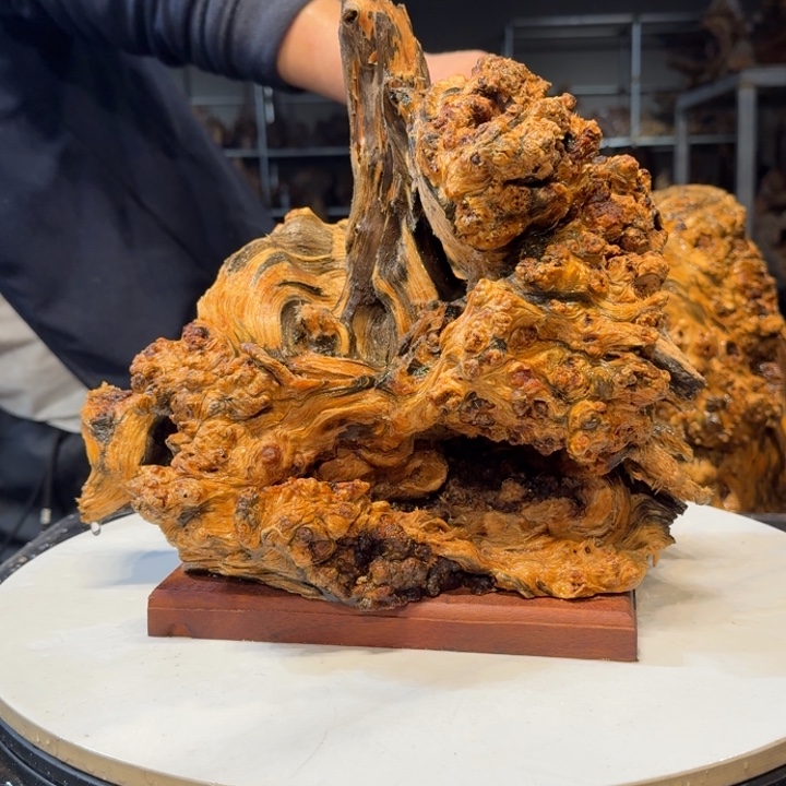 木华**鸽王一刀琥珀木B36