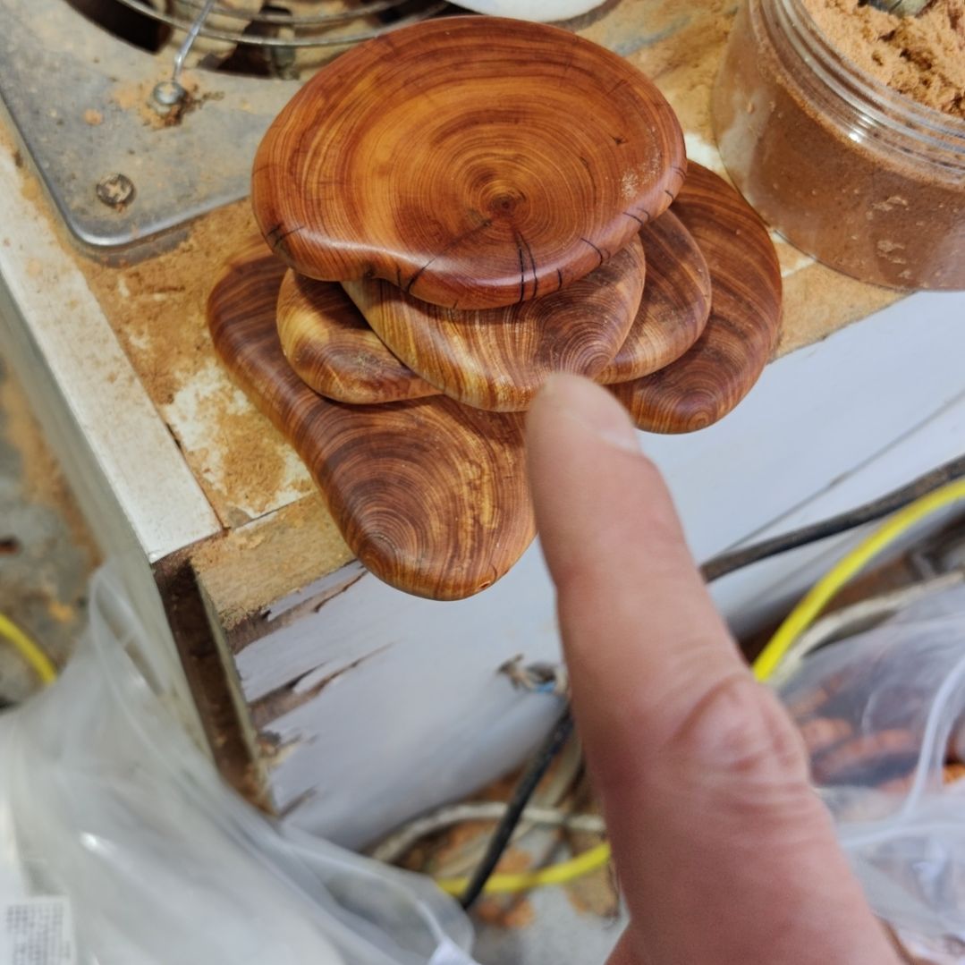 太行崖柏手工艺品一个