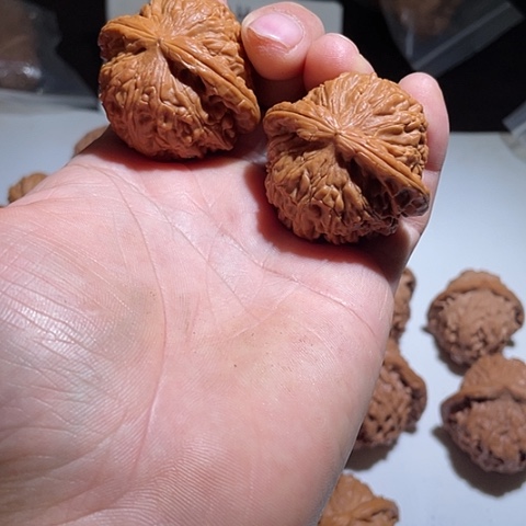 把件文玩核桃白狮子