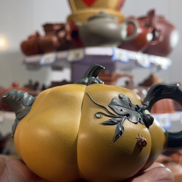 辉***身紫砂茶壶我们的一生总是没有