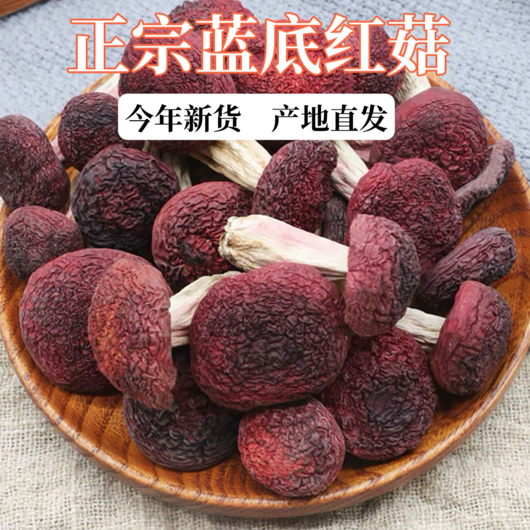 云南正宗蓝底野生中药材红菇干货月子滋补煲汤佳品