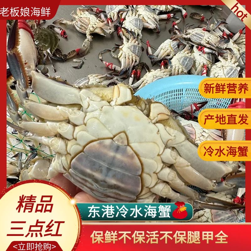 盖【保鲜不保活】特大三点红母蟹6.5两以上/只2-3斤装不保腿甲全