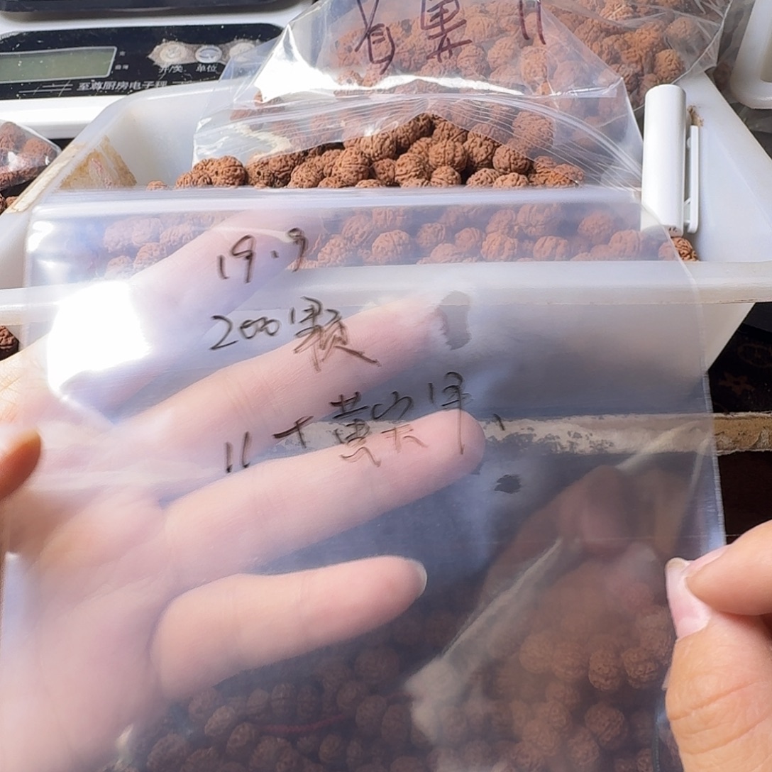 今***好吊坠金刚菩提400颗黄身有瑕疵