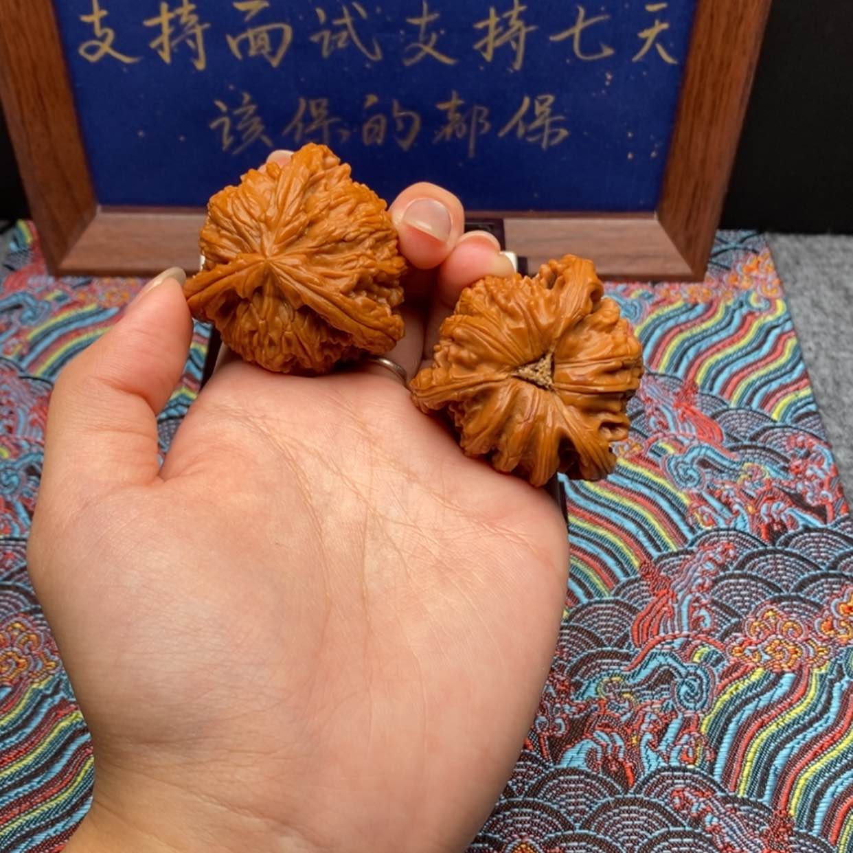 【闪购商品】日**情白狮