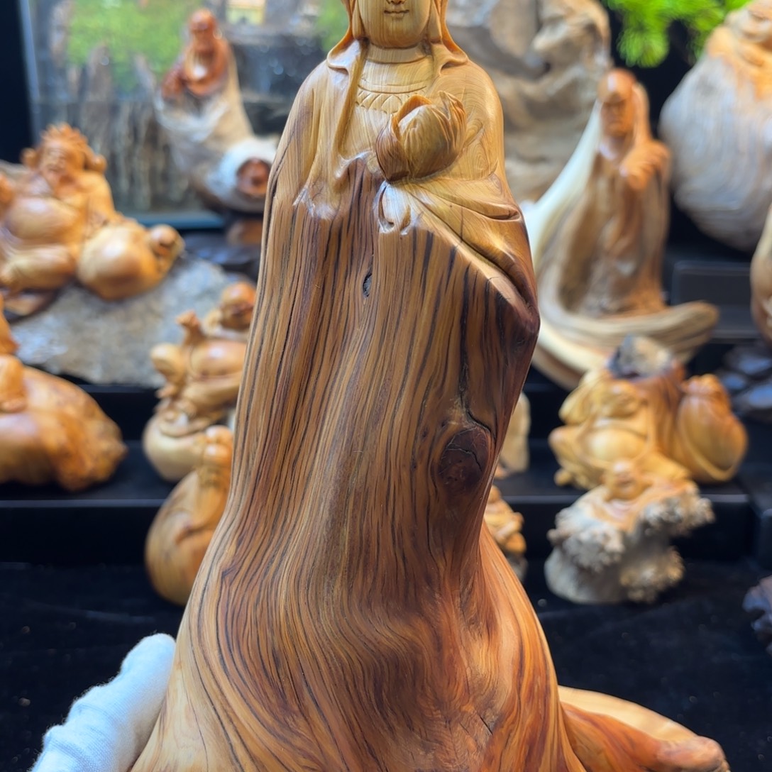 Z****柏木11111111111111